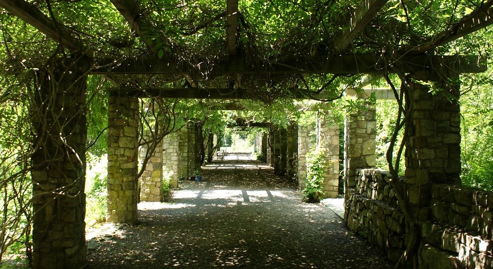Arbor_3.jpg